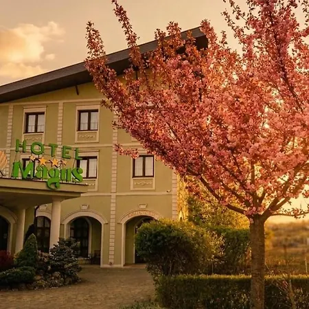 Magus Hotel-2